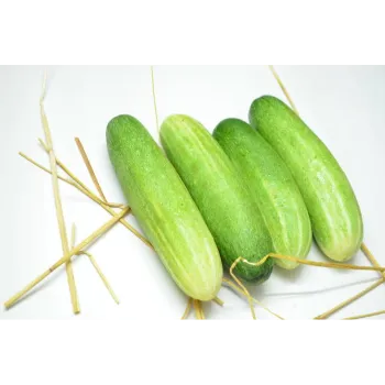 Cucumber  (43)-1816889-22434.webp